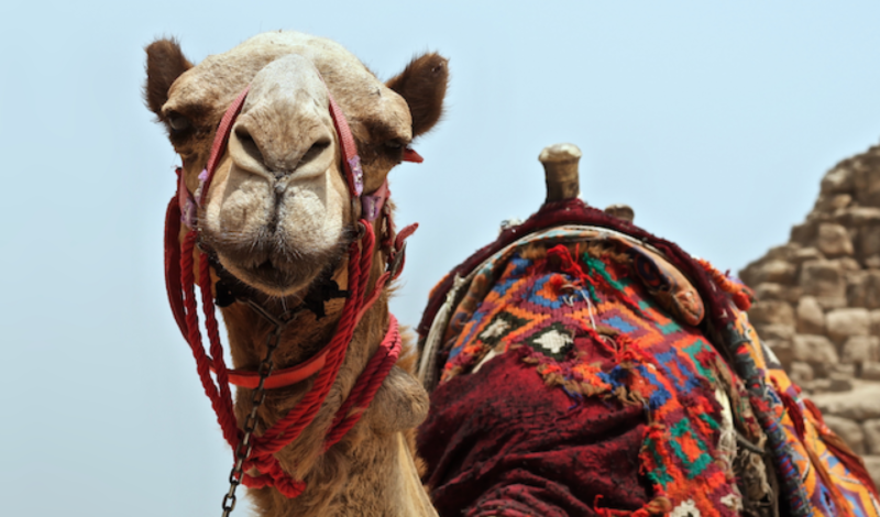 Blog post featured image